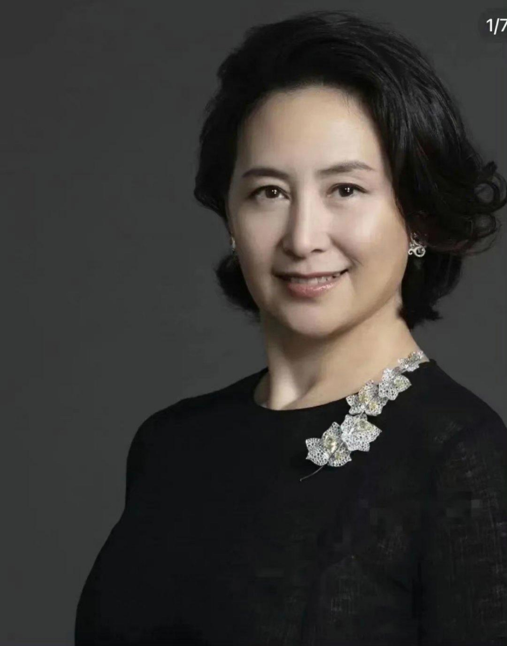 孟晚舟与何超琼,感觉她俩长得太像了,有时傻傻分不清,她们都是挺直的