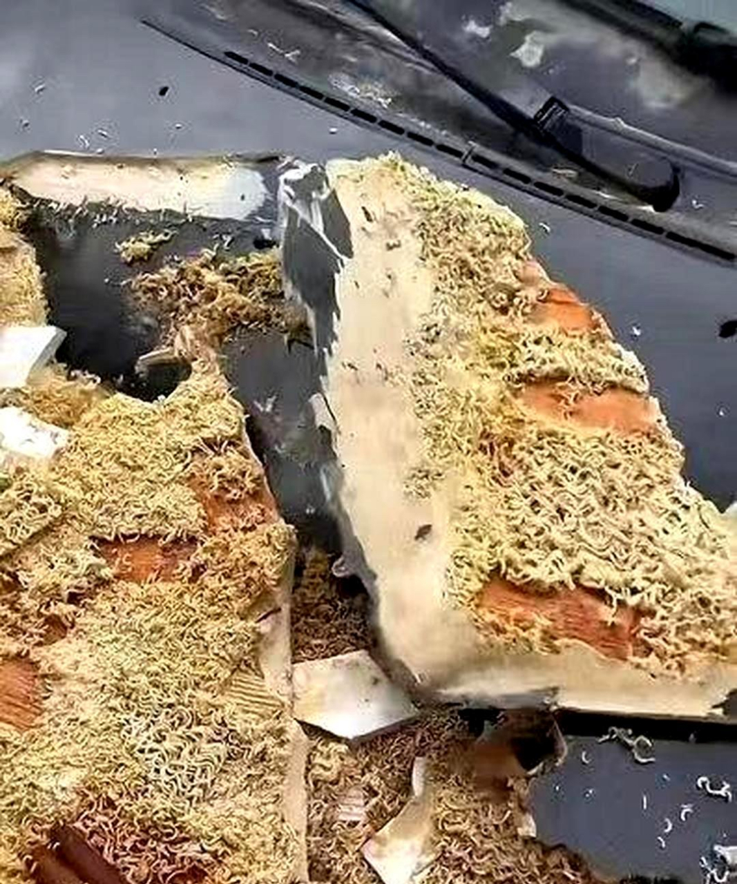 不管真假,发图之前赶紧挡住车标!