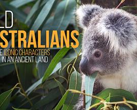 《 Wild Australians Season 1》最新手游传奇单职业
