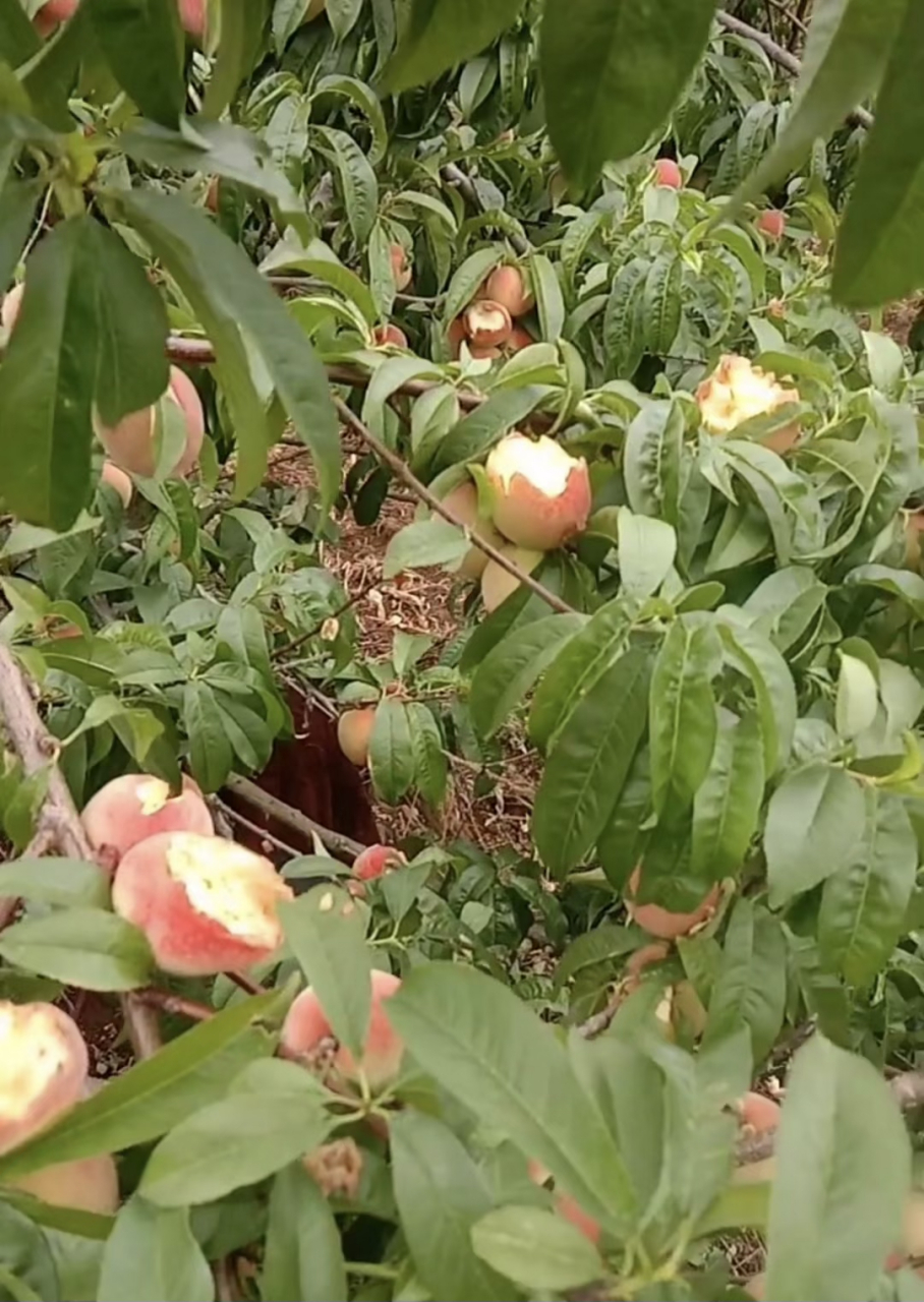 908_1280竖版 竖屏