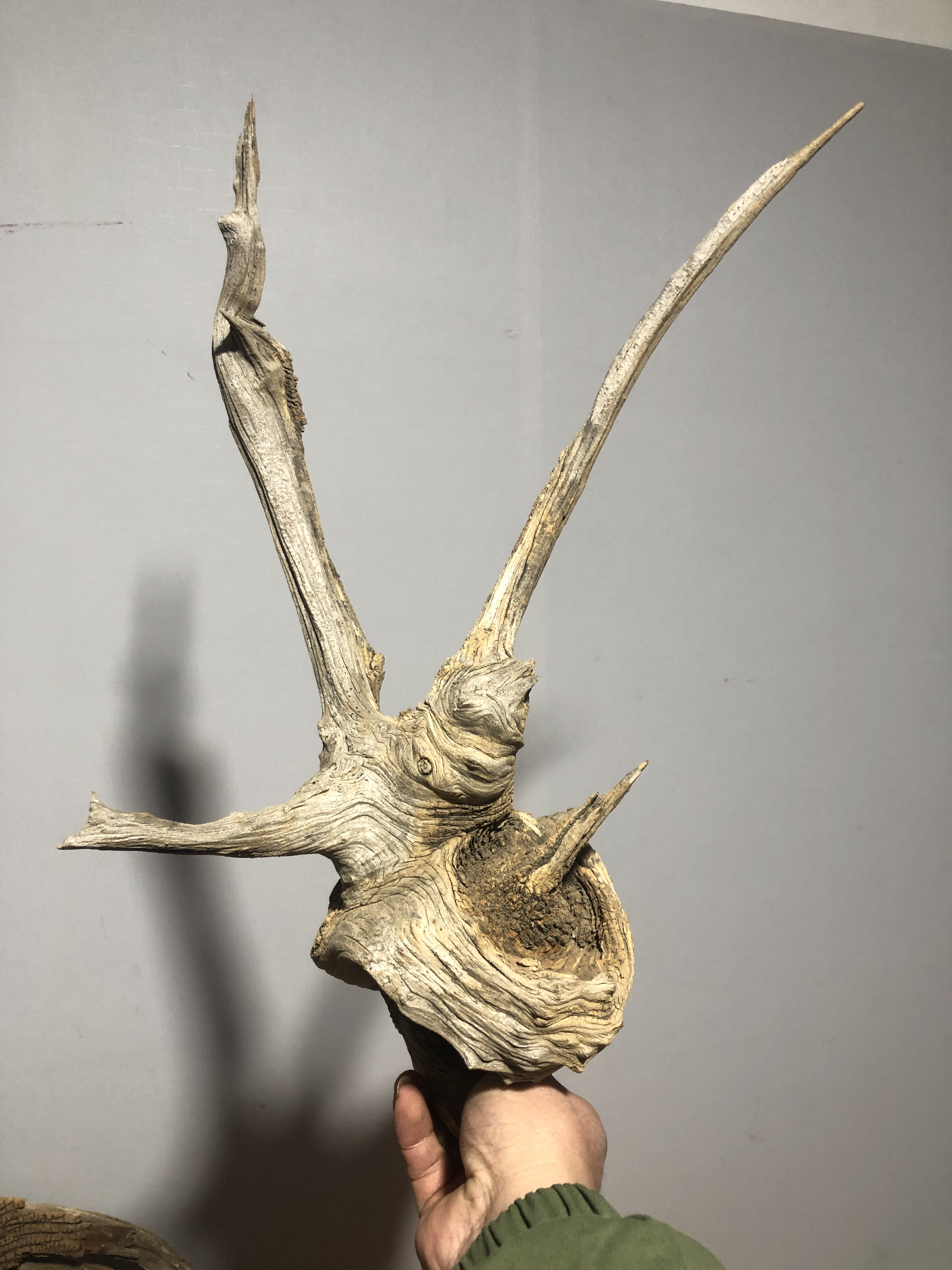 北太行崖柏精品摆件