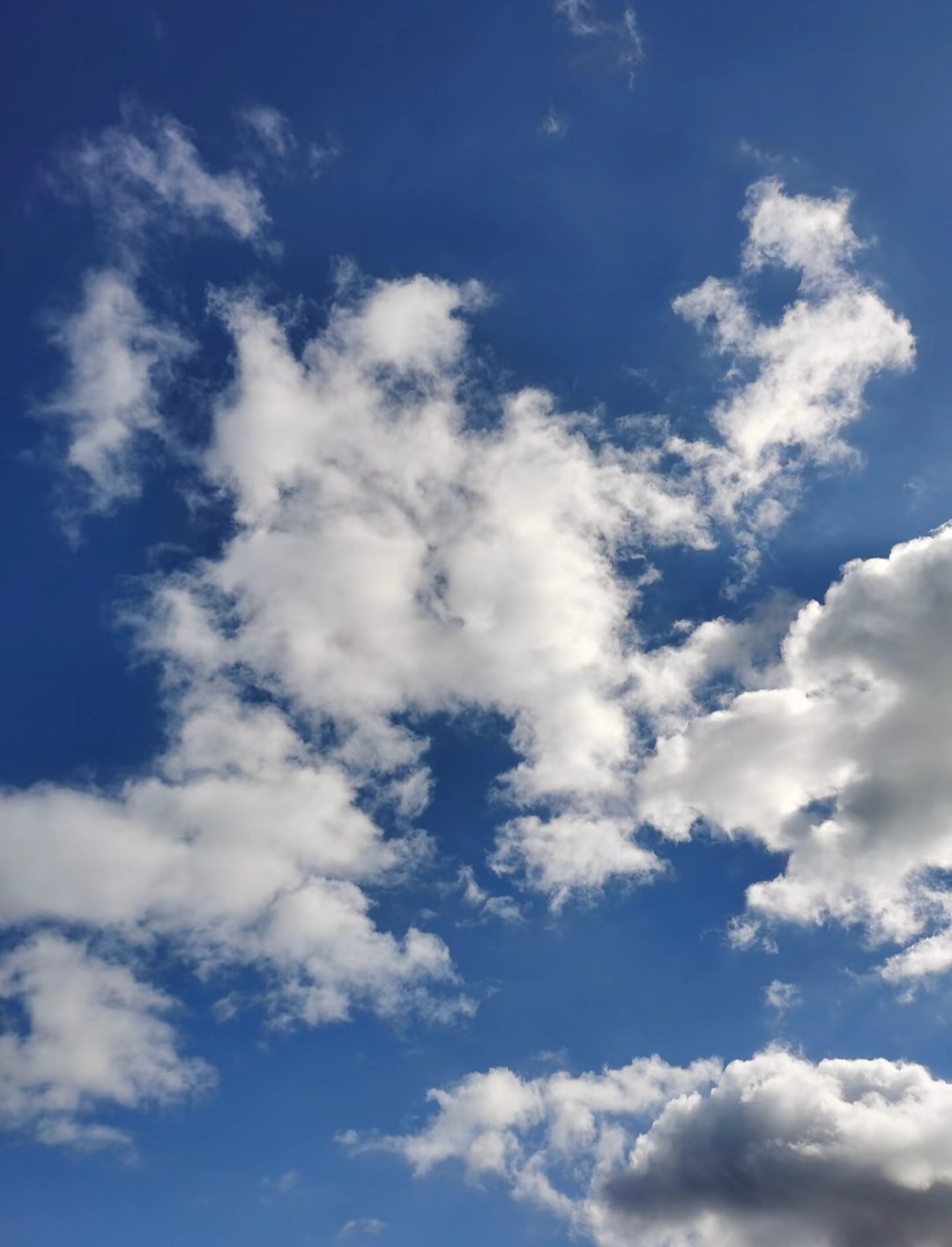 不要比较自己的财富多少,只要身体健康无病痛