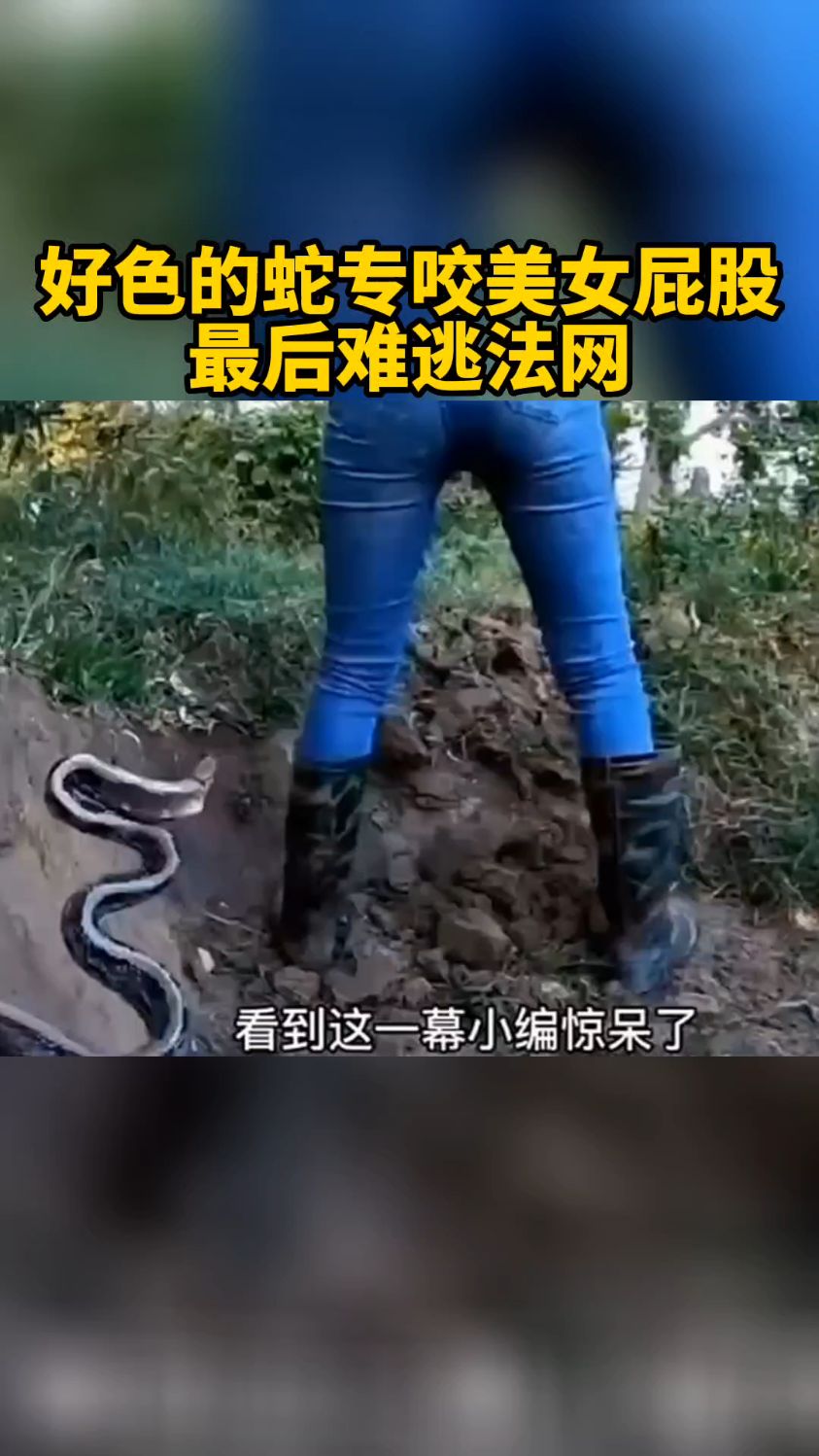 美女被蛇吃掉图片