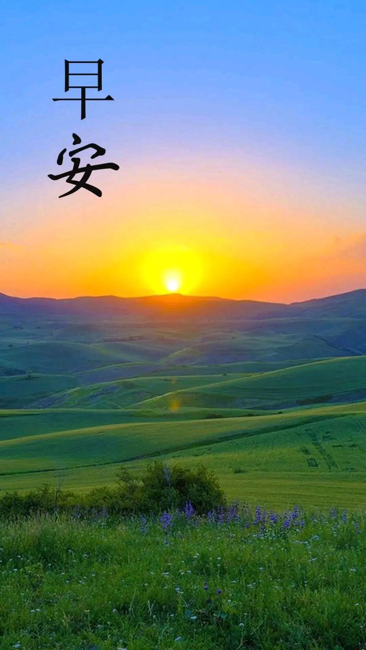 太阳每天都是新的,所以每天需要保持一个好心情,虽然今天没有太阳