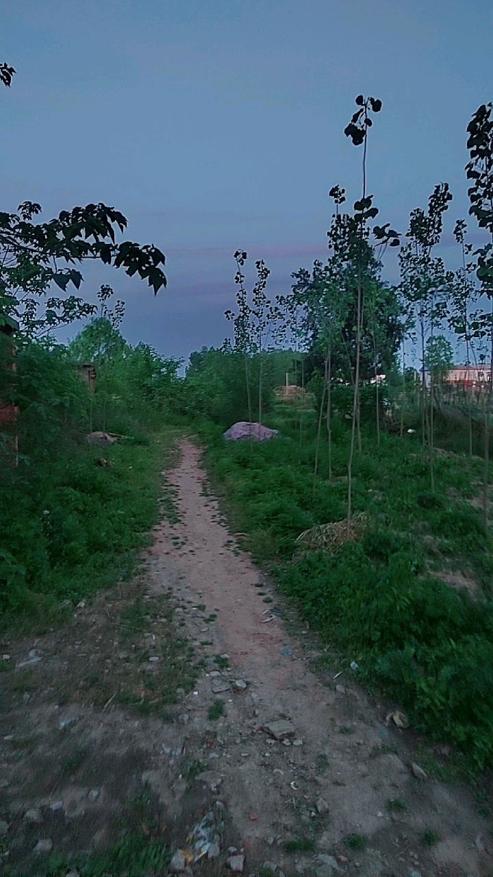 农村的傍晚,你看美不美!