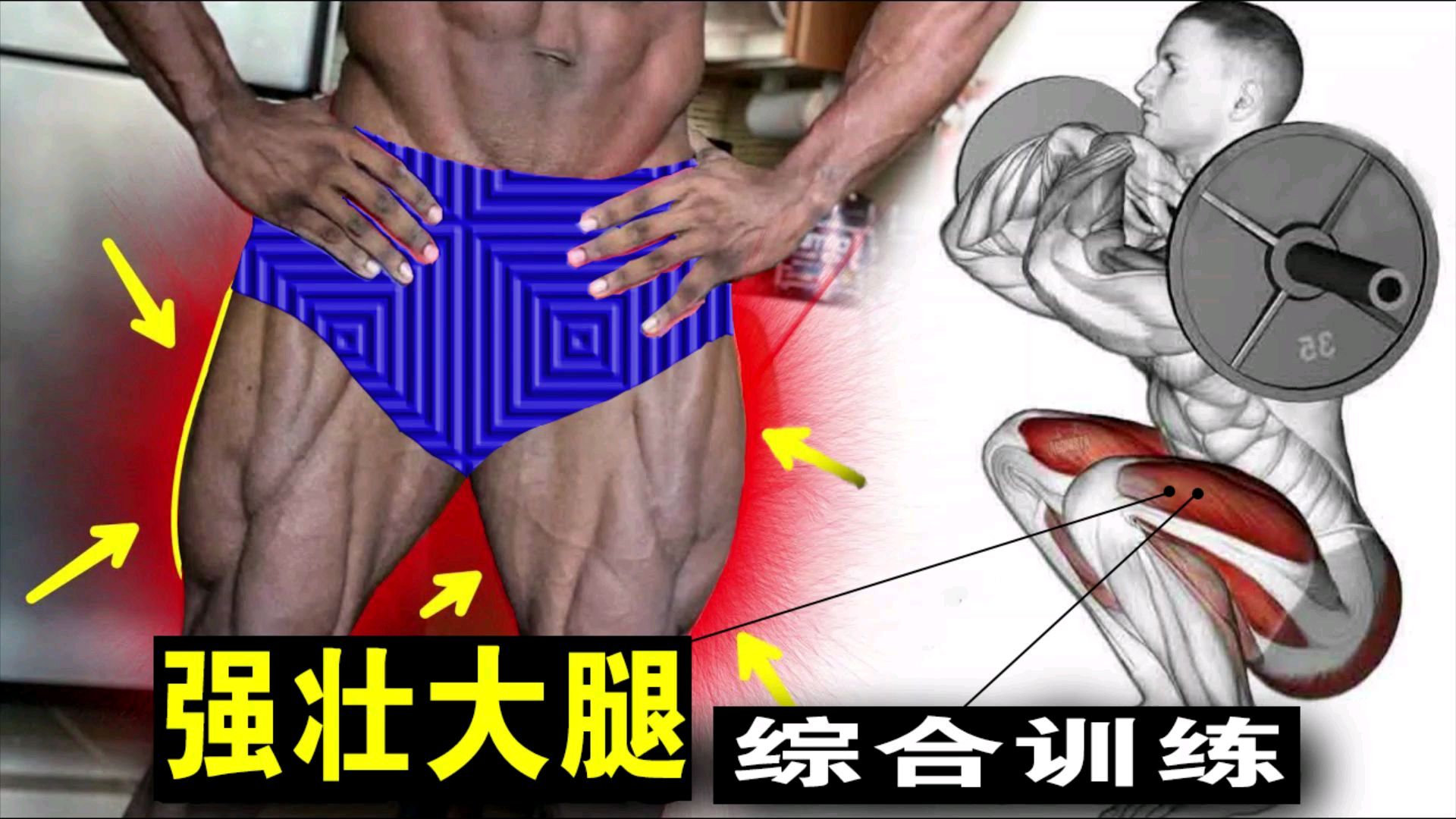 腿部增肌训练,教你6组动作,练出强壮的大腿