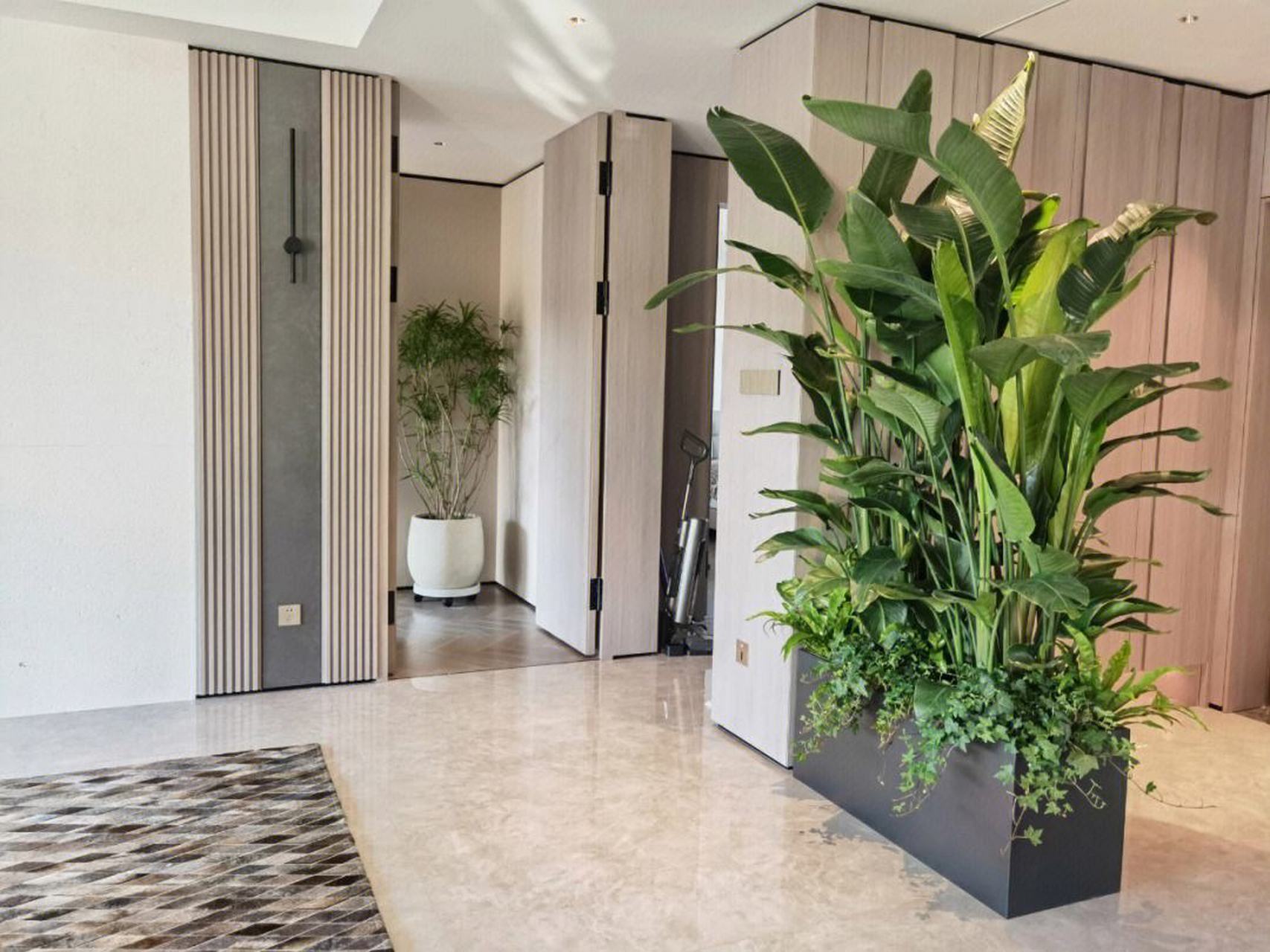 71#李理谦易学风水# 家居中如何选择植物和屏风 所有挡煞化煞的物品