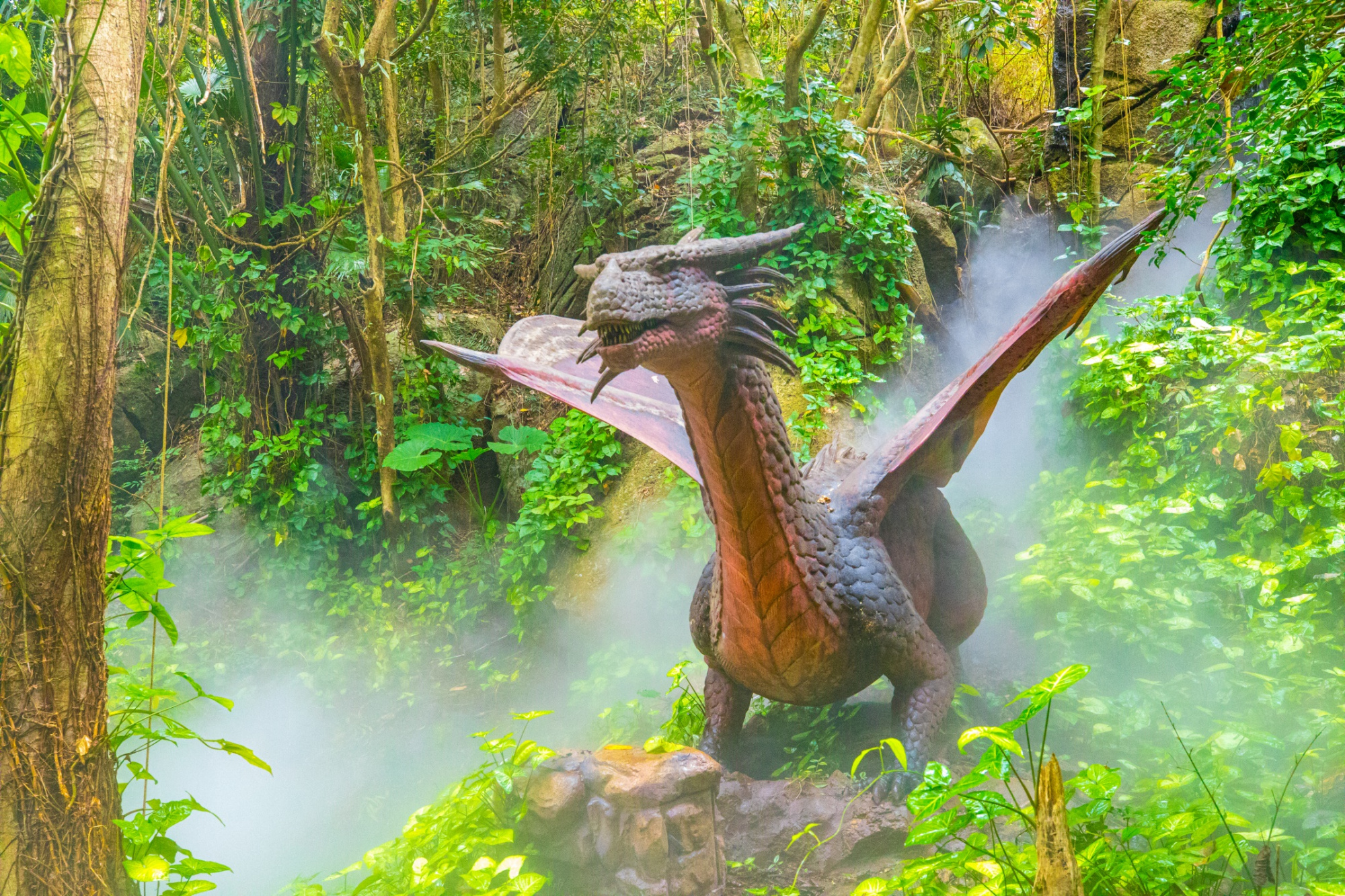 你知道三亚有一个热带雨林旅游区叫呀诺达吗?旅游攻略为你码好了
