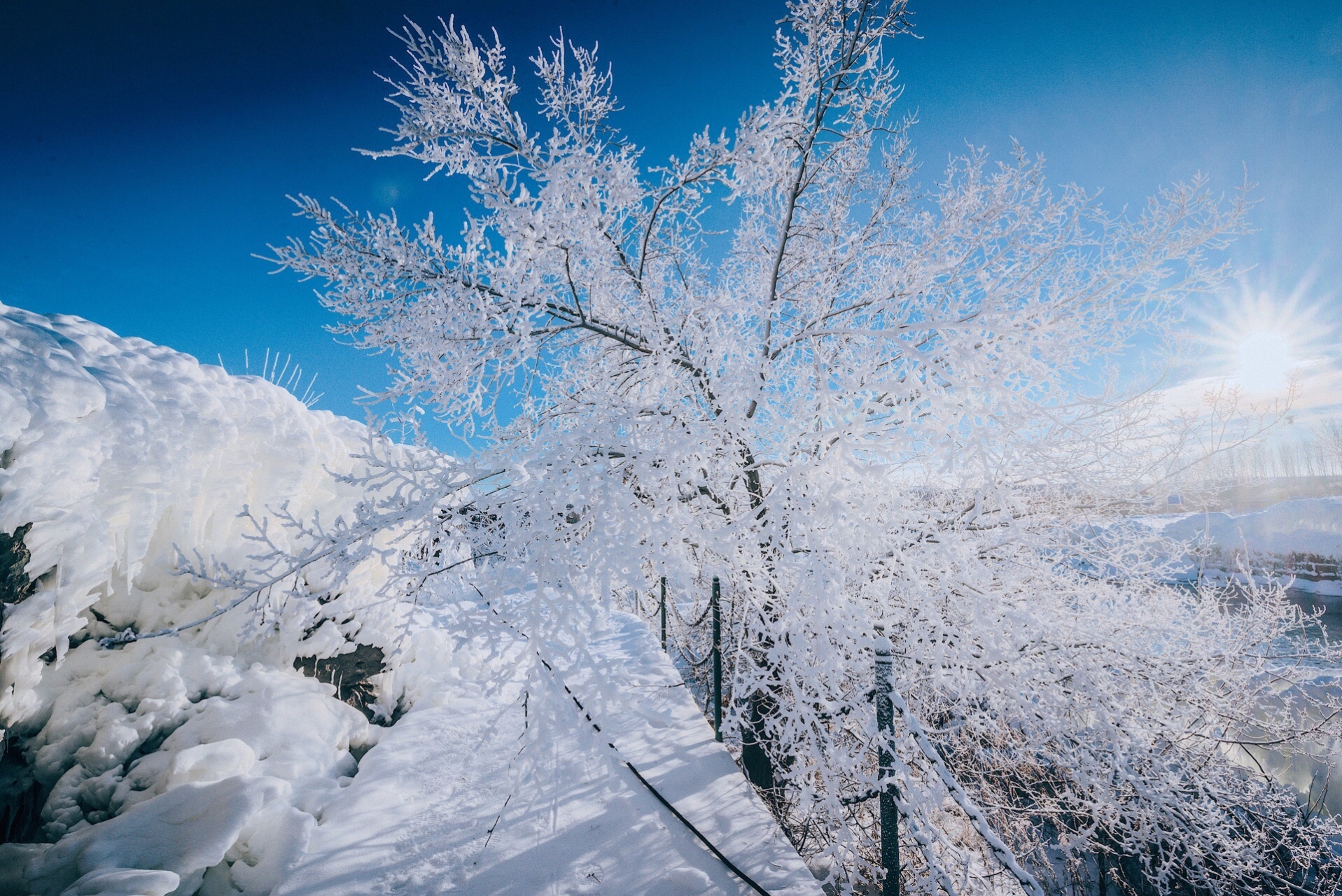 大雪纷飞图片真实艳阳图片