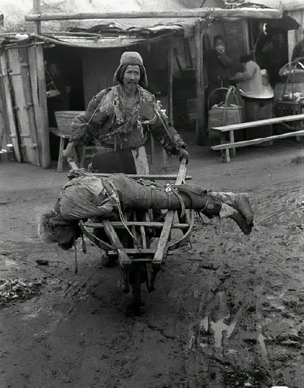 一张照片是美国摄影师,著名记者白修德拍摄的,一名老人推着自己饿死的