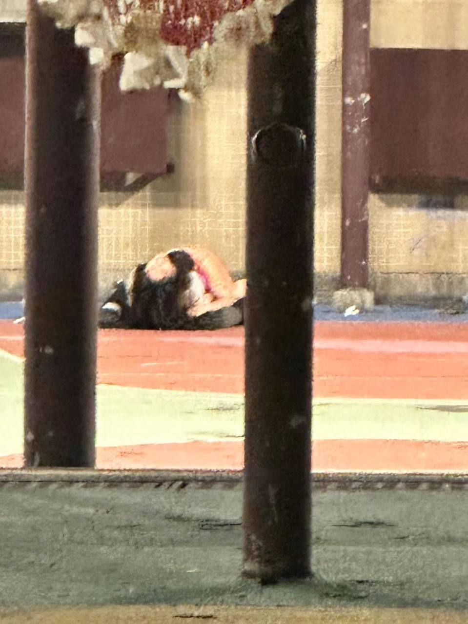 现在的小情侣真开放,篮球场边上就不可描述