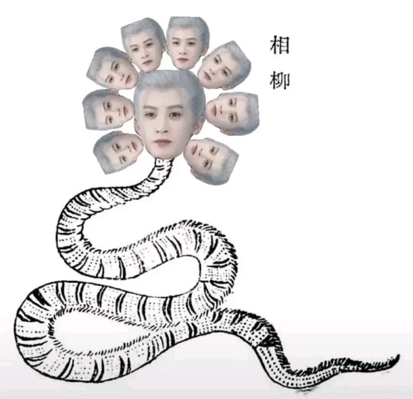 那么现在问题来了,相柳的九个头到底是是怎么长的,网友猜测如下!