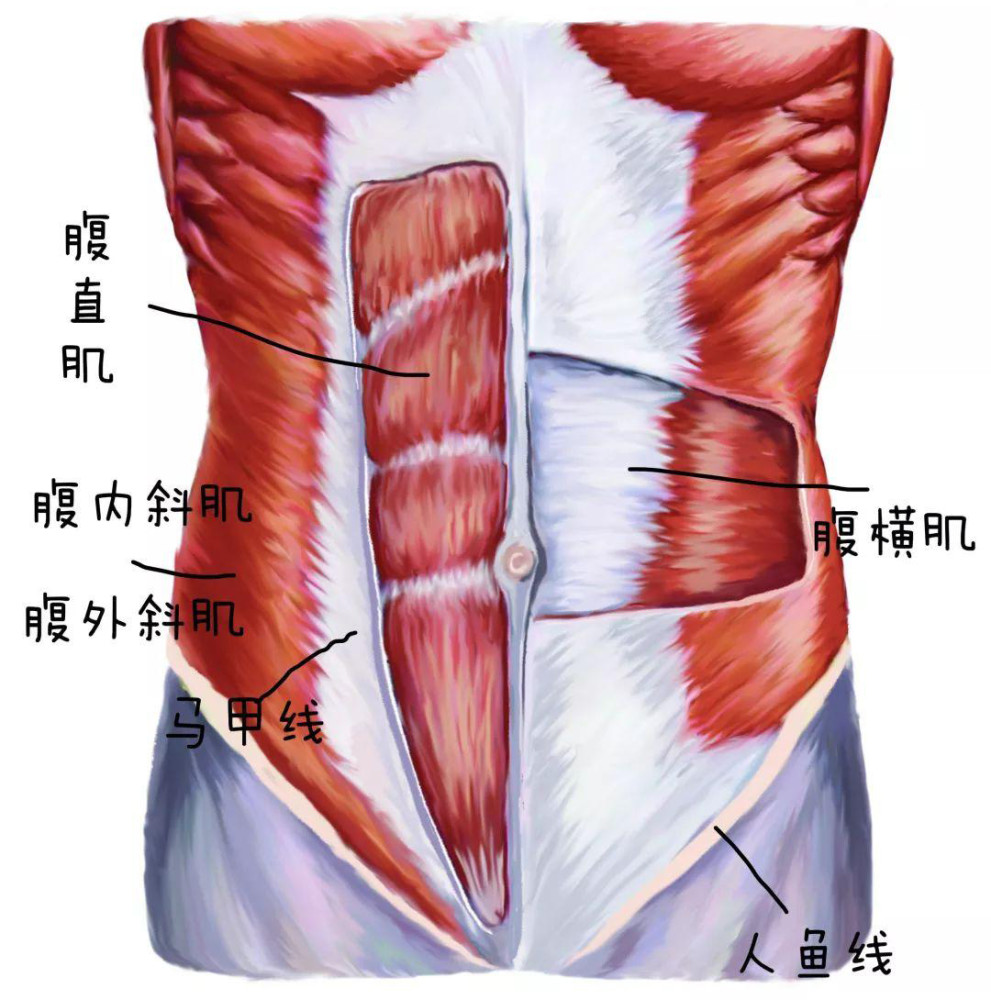 哺乳期恢复身材的