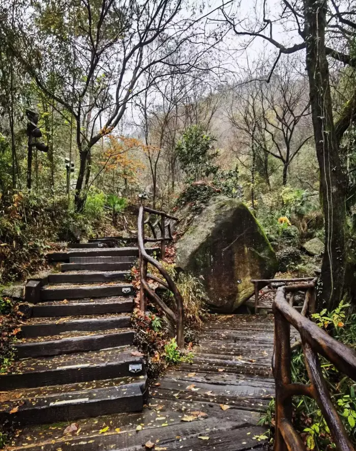 白露山林间——白露山景区,能带给你能想到的所有体验!