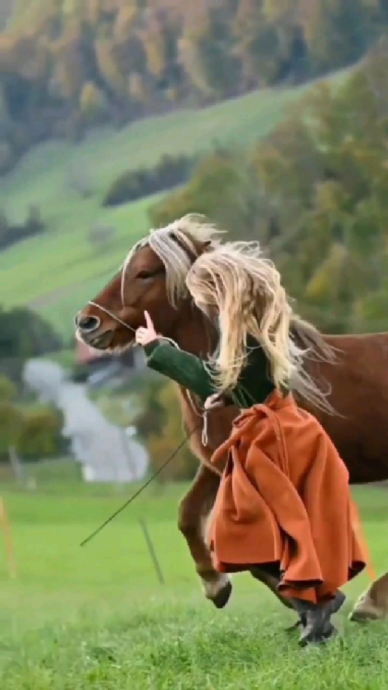 马术艺术太惊艳,不只是行动协调,美女的头发和马鬃颜色长短都一致-度