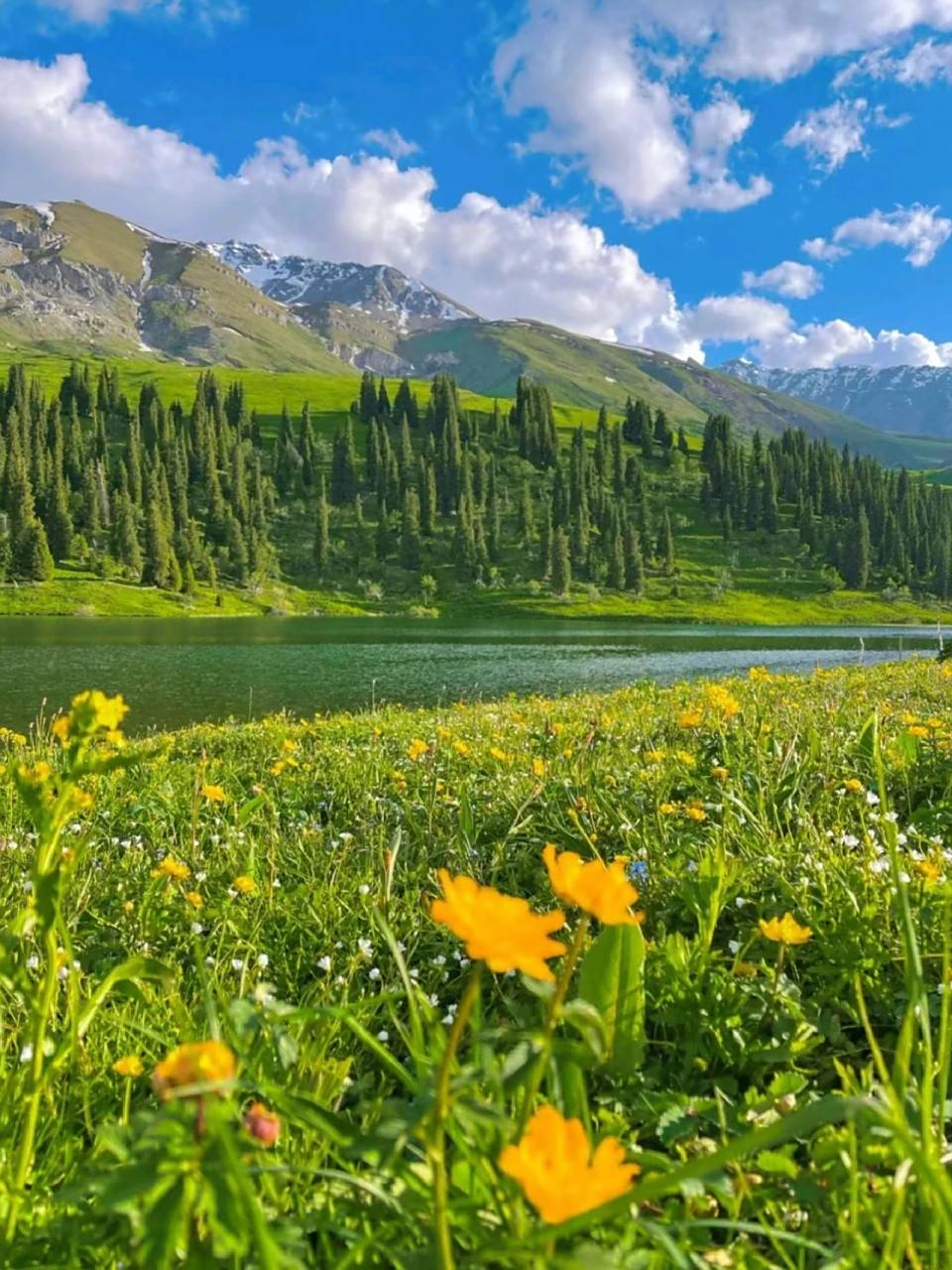 唐布拉草原,有百里画廊之称