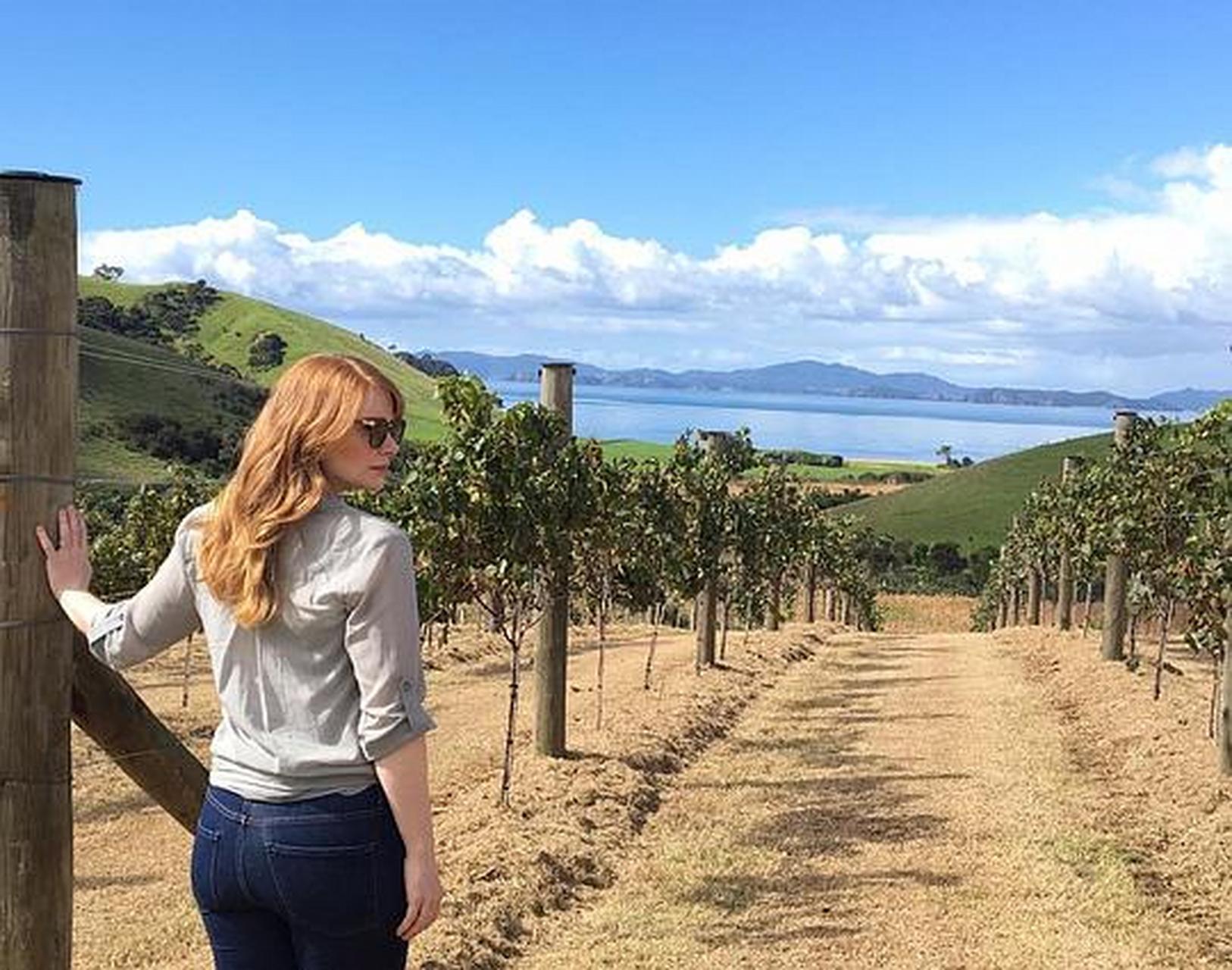 美国女星布莱斯·达拉斯·霍华德风采