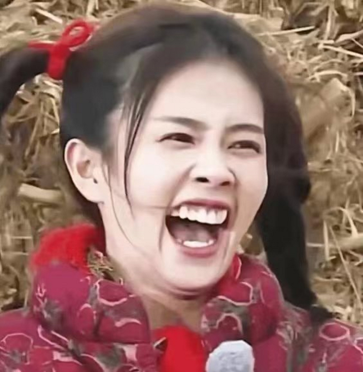 白鹿因其独特的笑容和特大的牙齿,在娱乐圈引起了广泛讨论