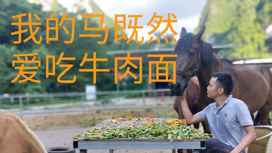 手把手教你用康师傅方便面煮出一碗马儿都爱吃醋的牛肉面