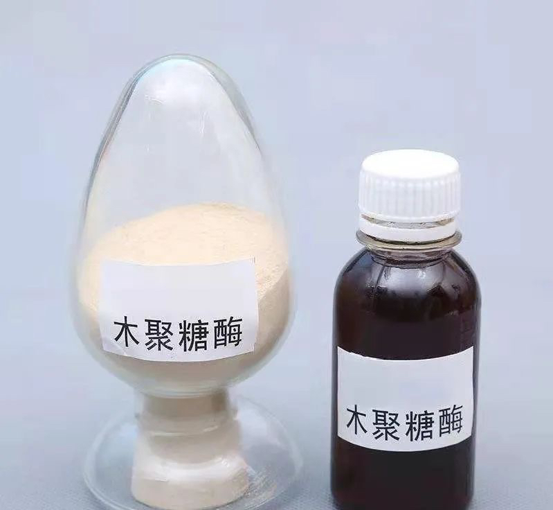 真菌木聚糖酶,知多少?