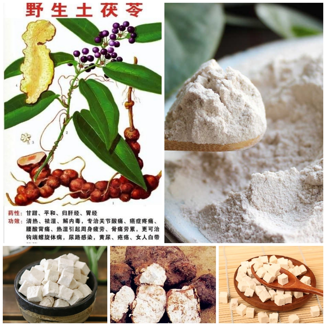 茯苓味甘而淡,淡则能渗,故能利水渗湿;甘则能补,入脾经,故能健脾