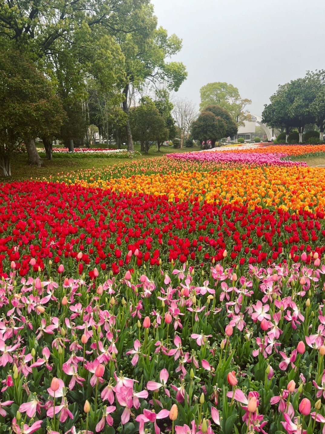 上海浦东鲜花港一日游旅游攻略