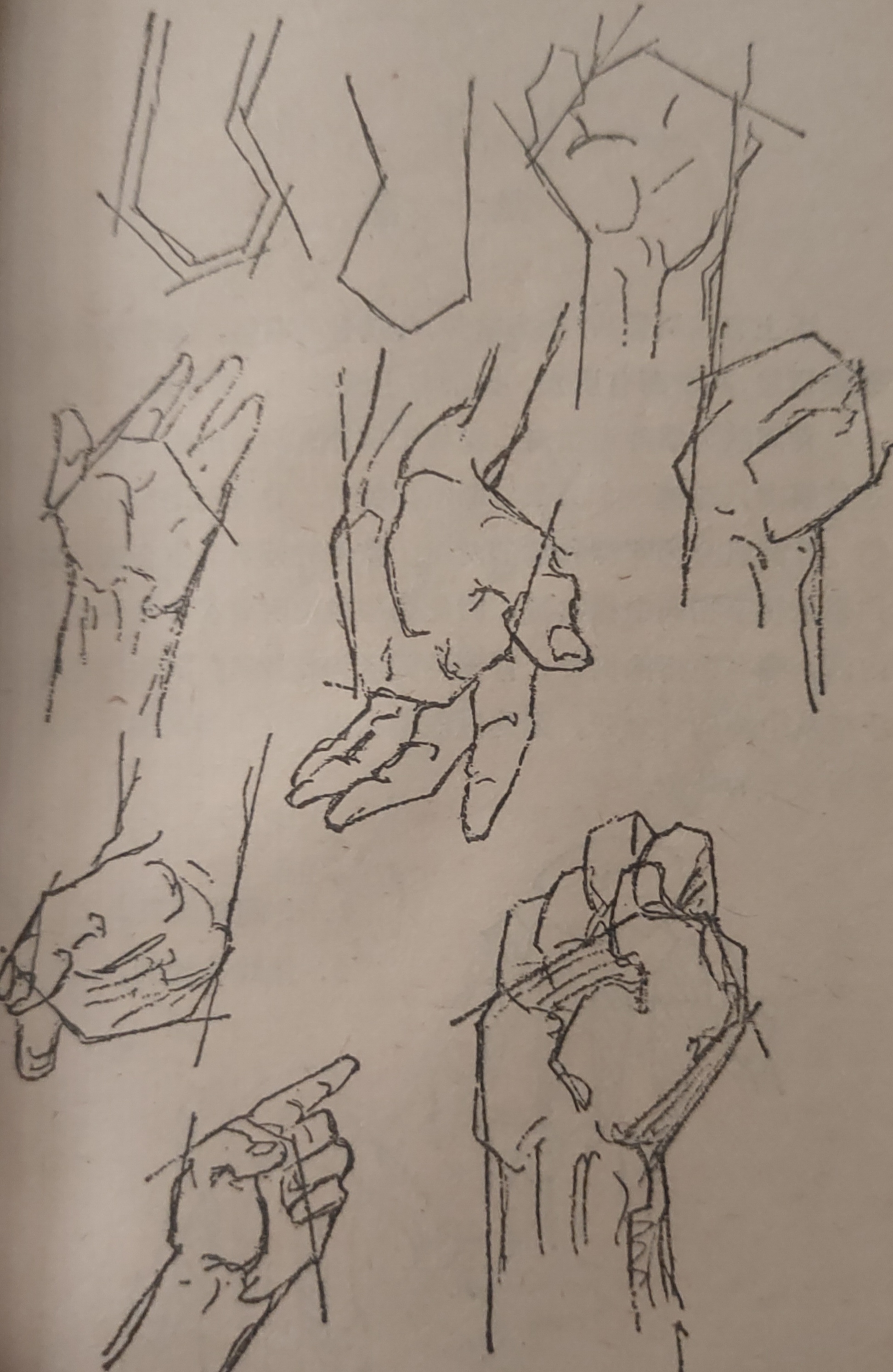 杨普义:手面构图(一)