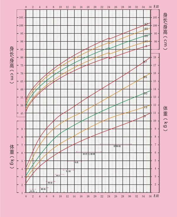 女孩子生长曲线图图片