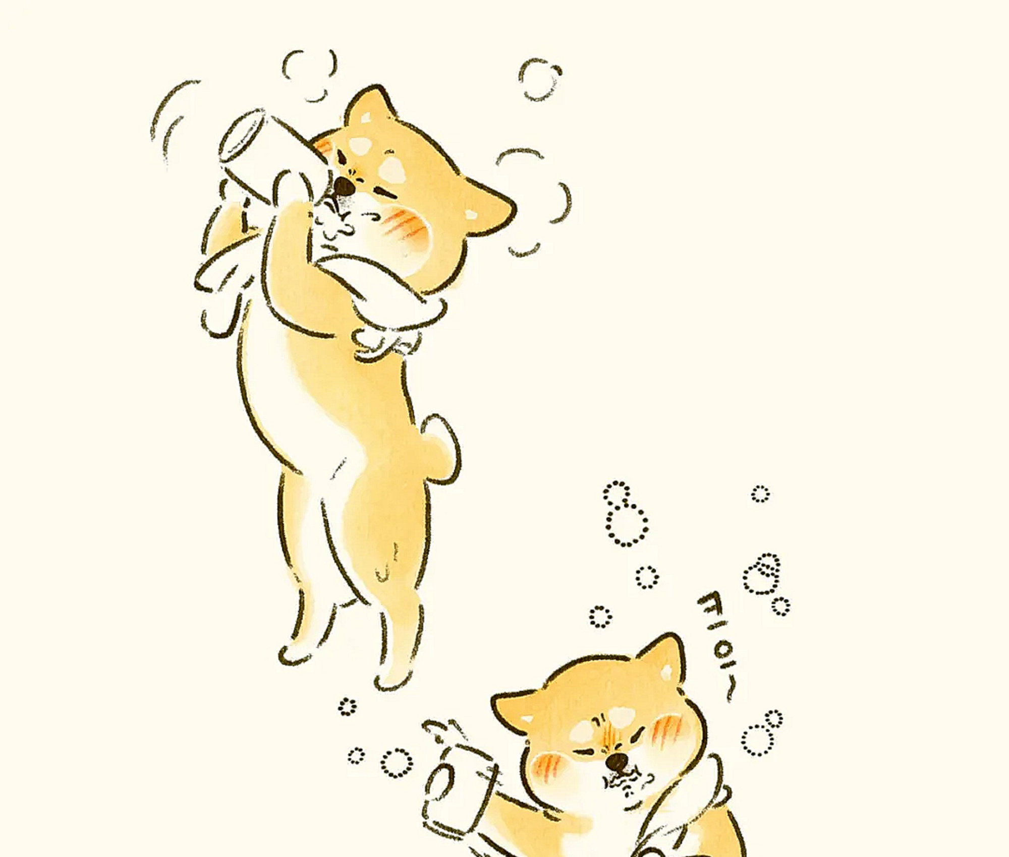 戏精柴犬的逗比日常