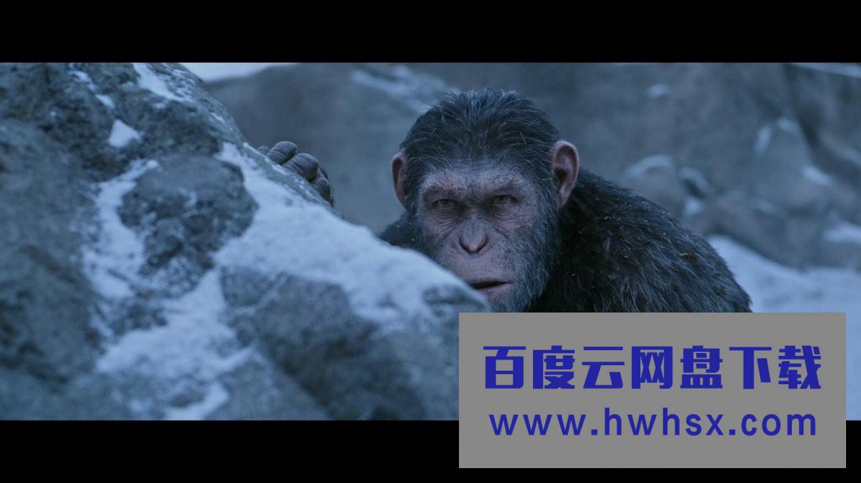 《猩球崛起3：终极之战》4k|1080p高清百度网盘