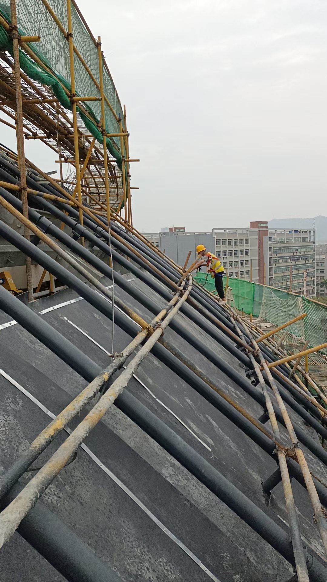 无论天气多么的恶劣,多么的寒冷,都挡不住生活的压