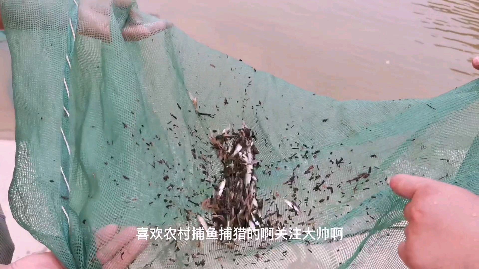 农村小伙没想到在这种河里用这种破网还能捕获到这么多的小鱼