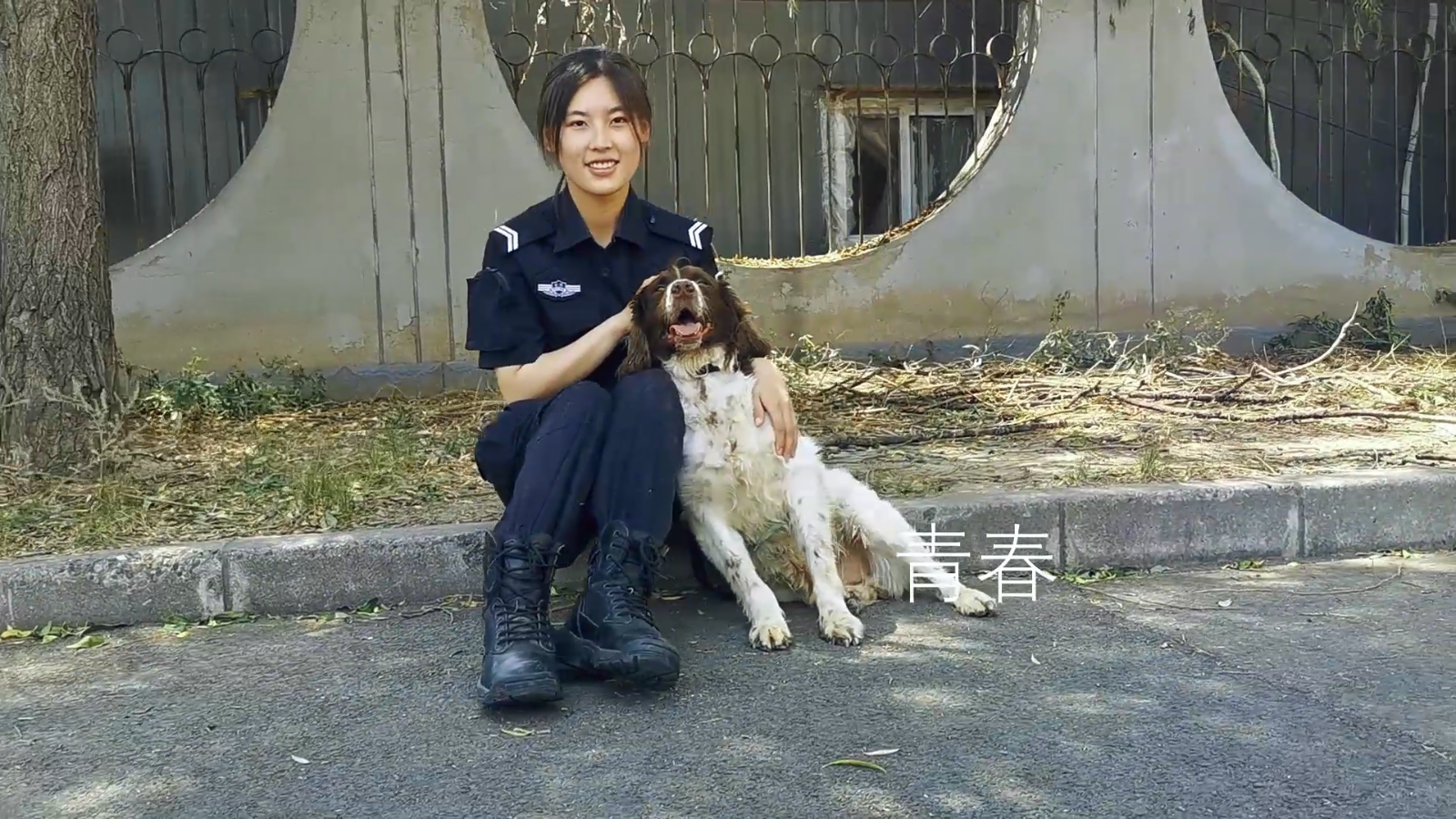 女神节丨北京公交警方警犬女训导员们的巾帼风采