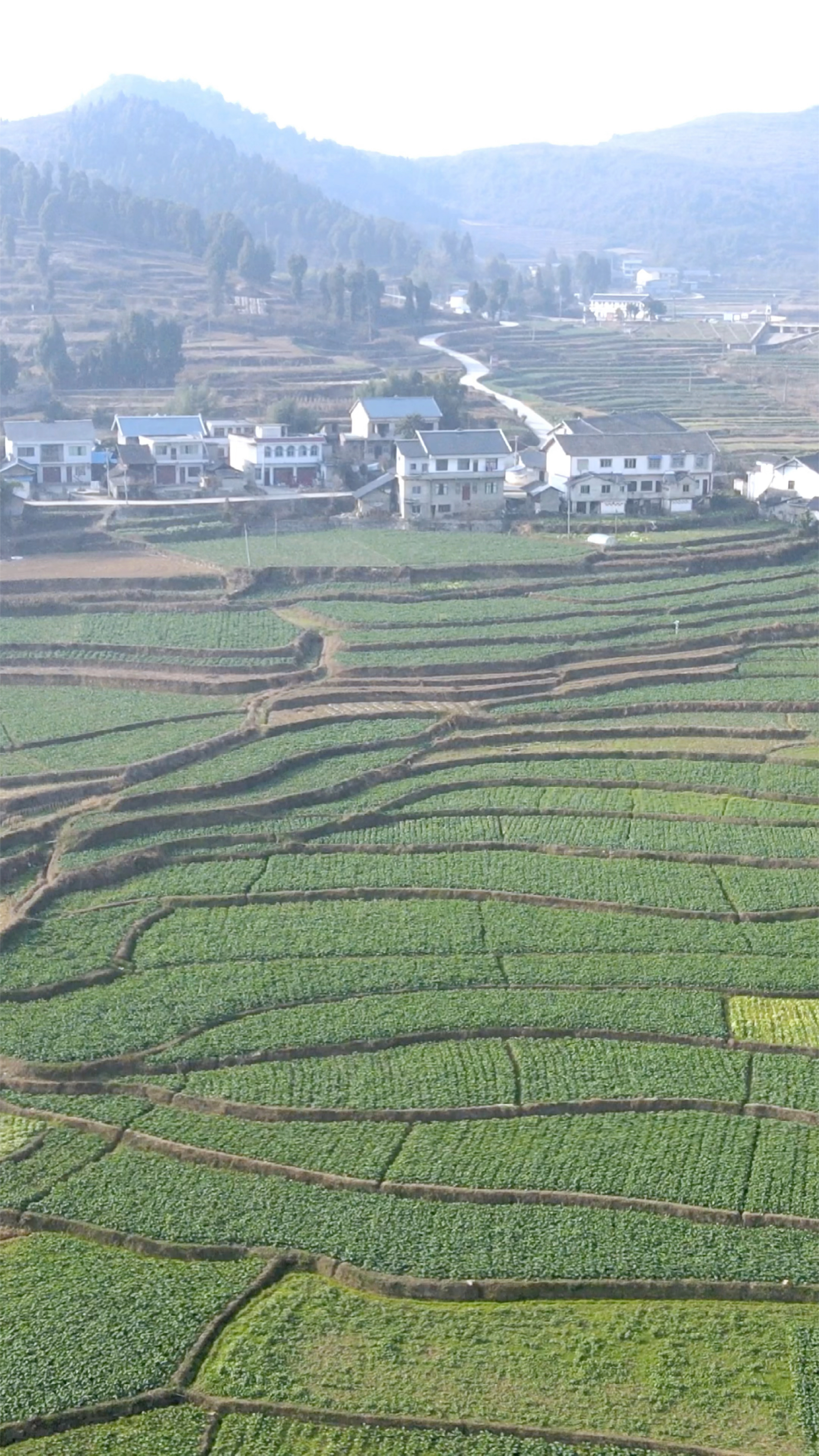 梯田美景,乡野田间,田园风光,乡村气息.