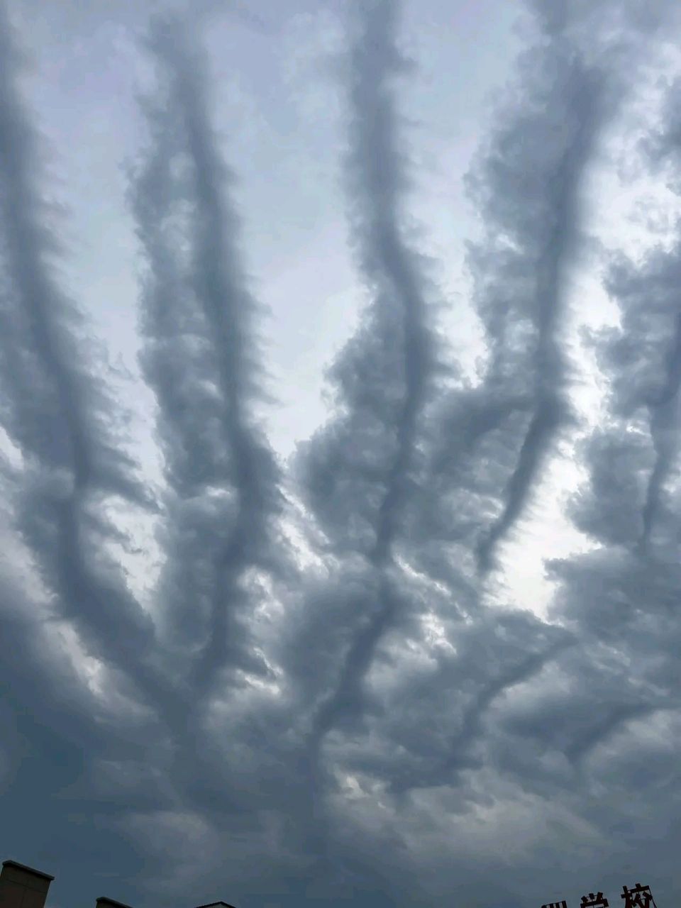 今天青岛地区,天象奇观,是否是传说的地震云?大家有知道的嘛?