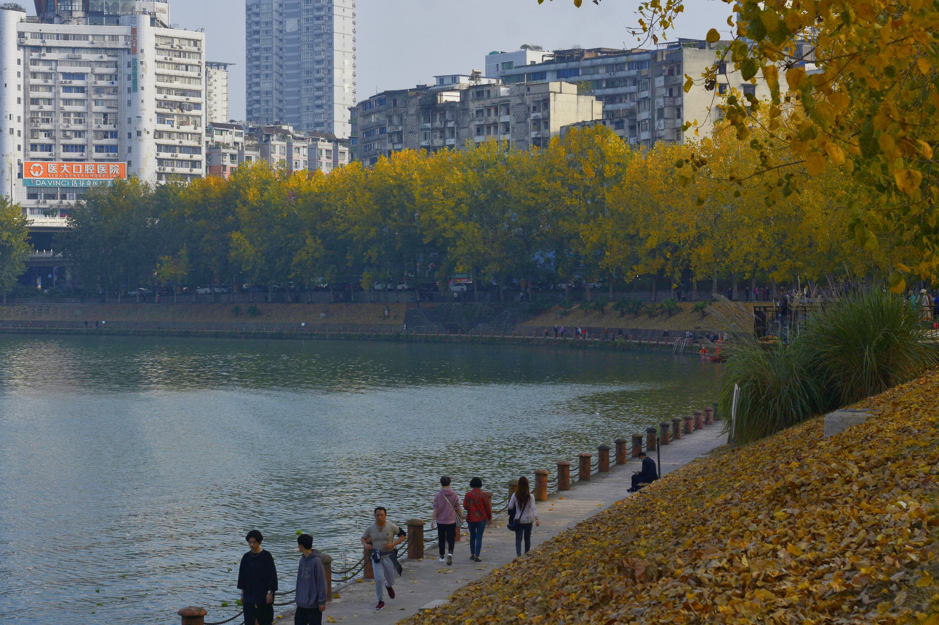 内江又新出一个网红打卡之地,那就是三桥往圣水寺方向的河边上.