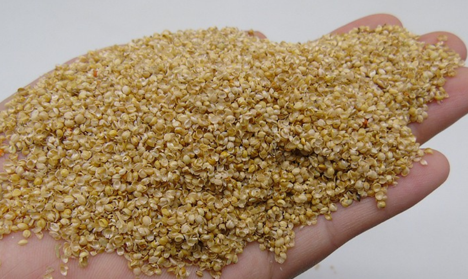 秕子是什么类的植物?