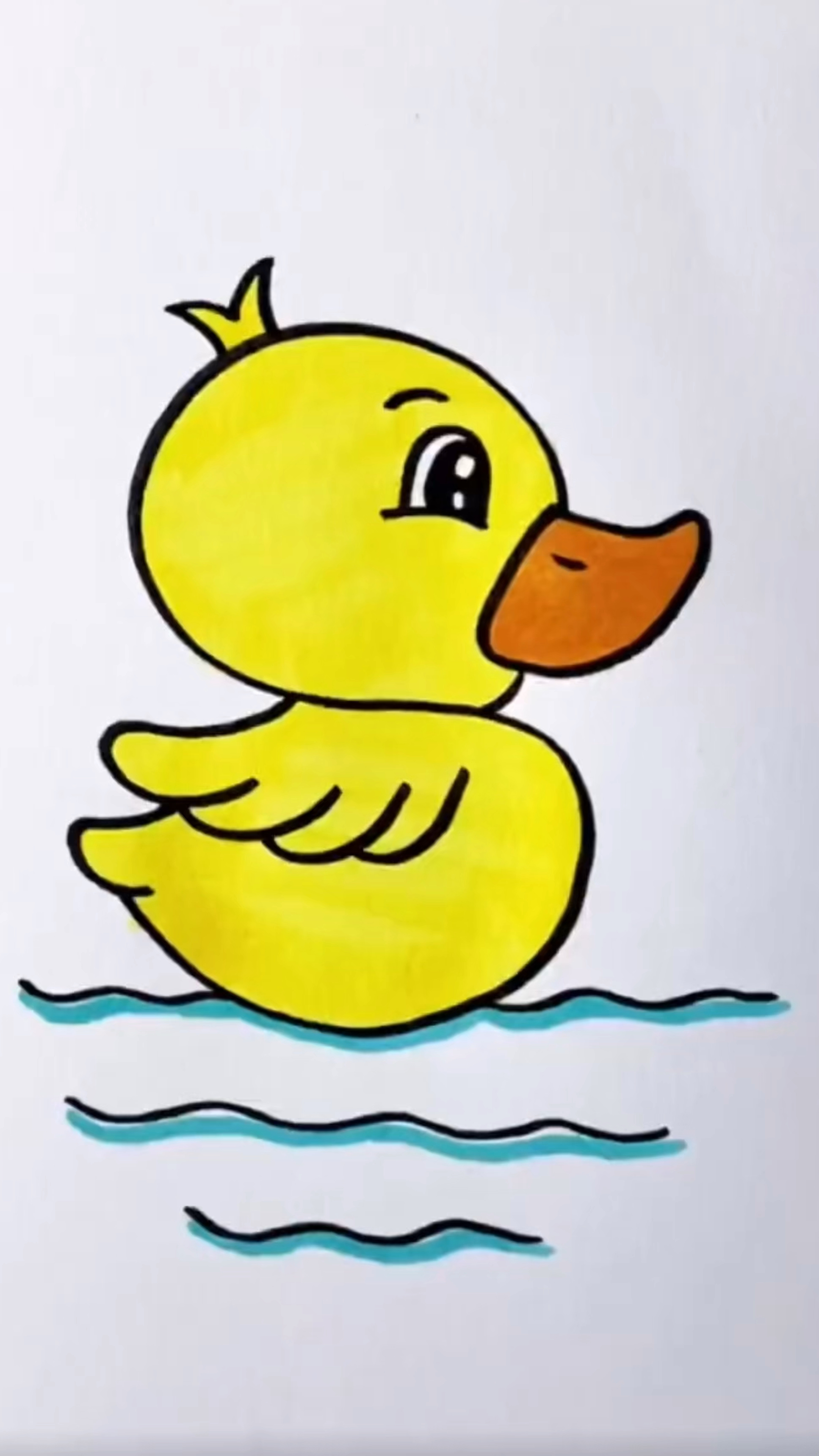 小鸭的头怎么画简笔画图片