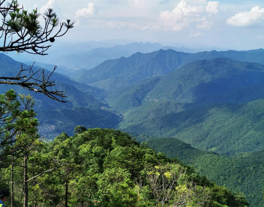 福建境内海拔最高的十座山峰,你去过几处?