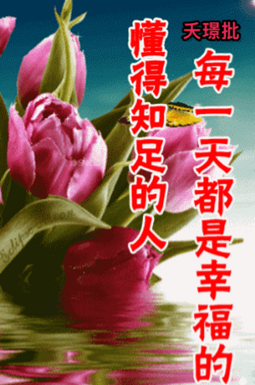 夭璟批们,这土味表情包请查收,哈哈哈哈哈,我要被