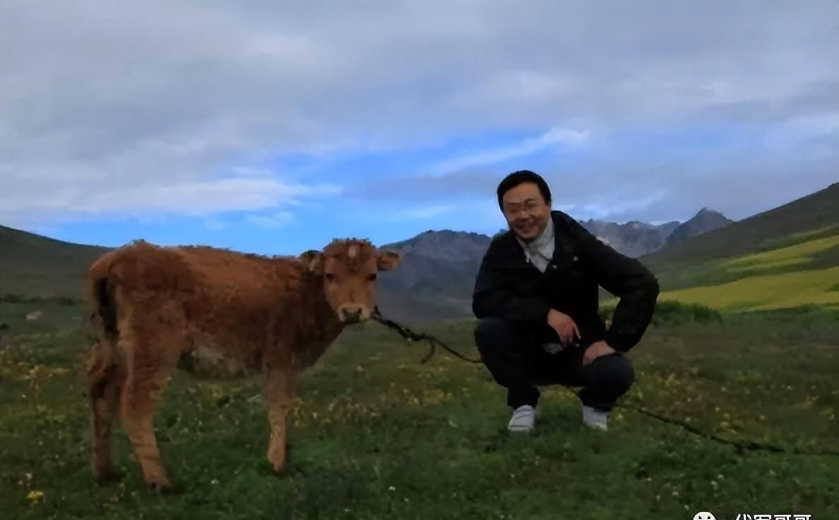 央视主持人刚强的父亲图片