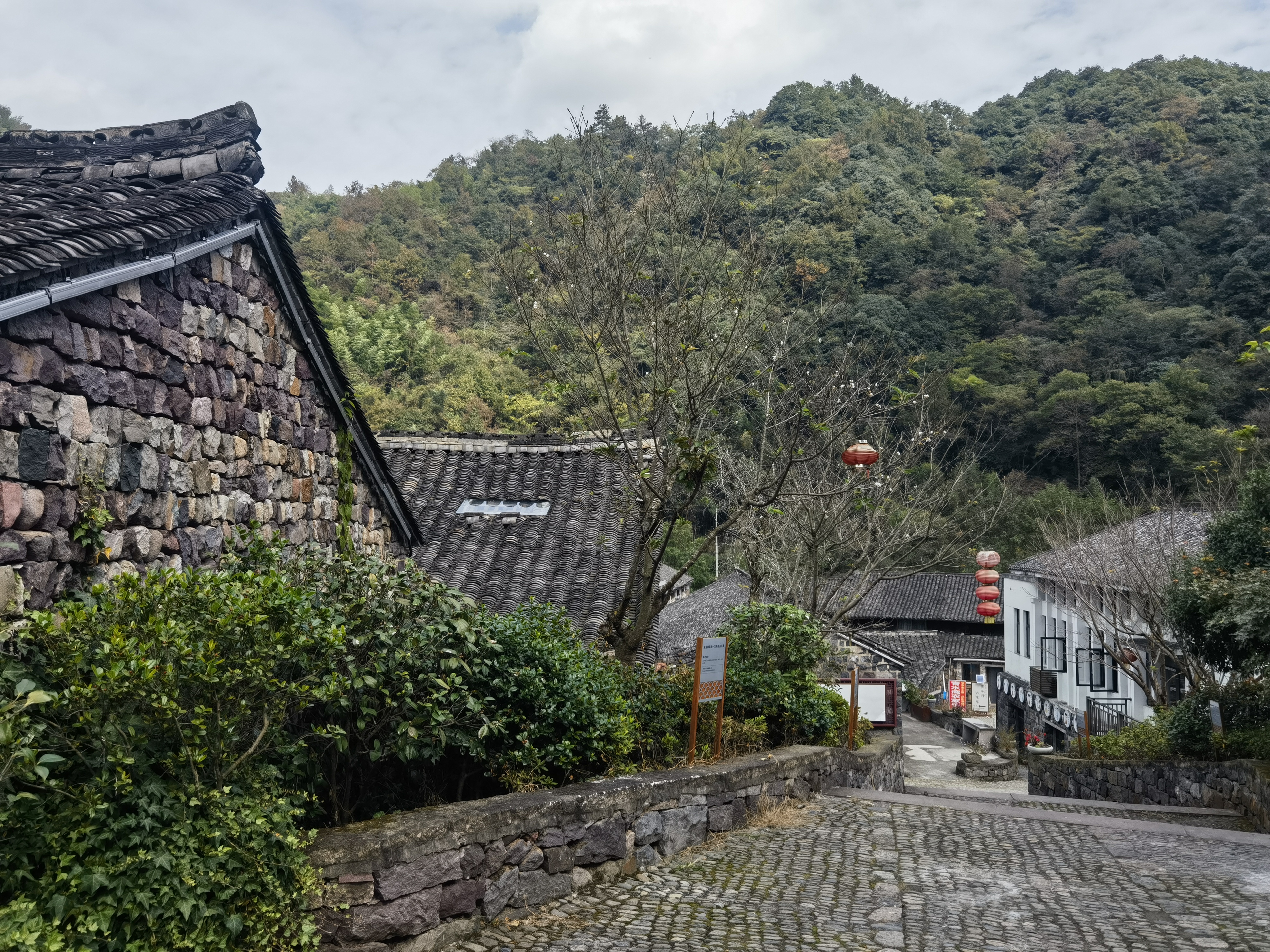 探访历史悠久的李家坑村:古韵与现代元素的完美融合