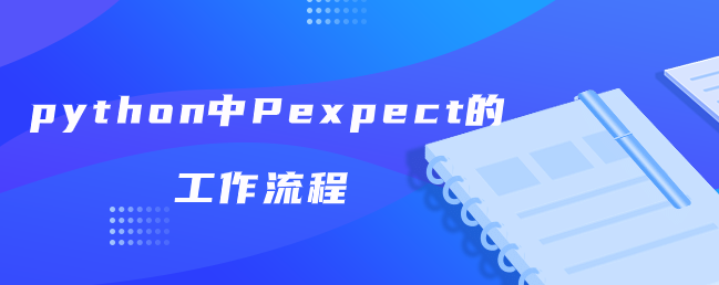 python中Pexpect的工作流程