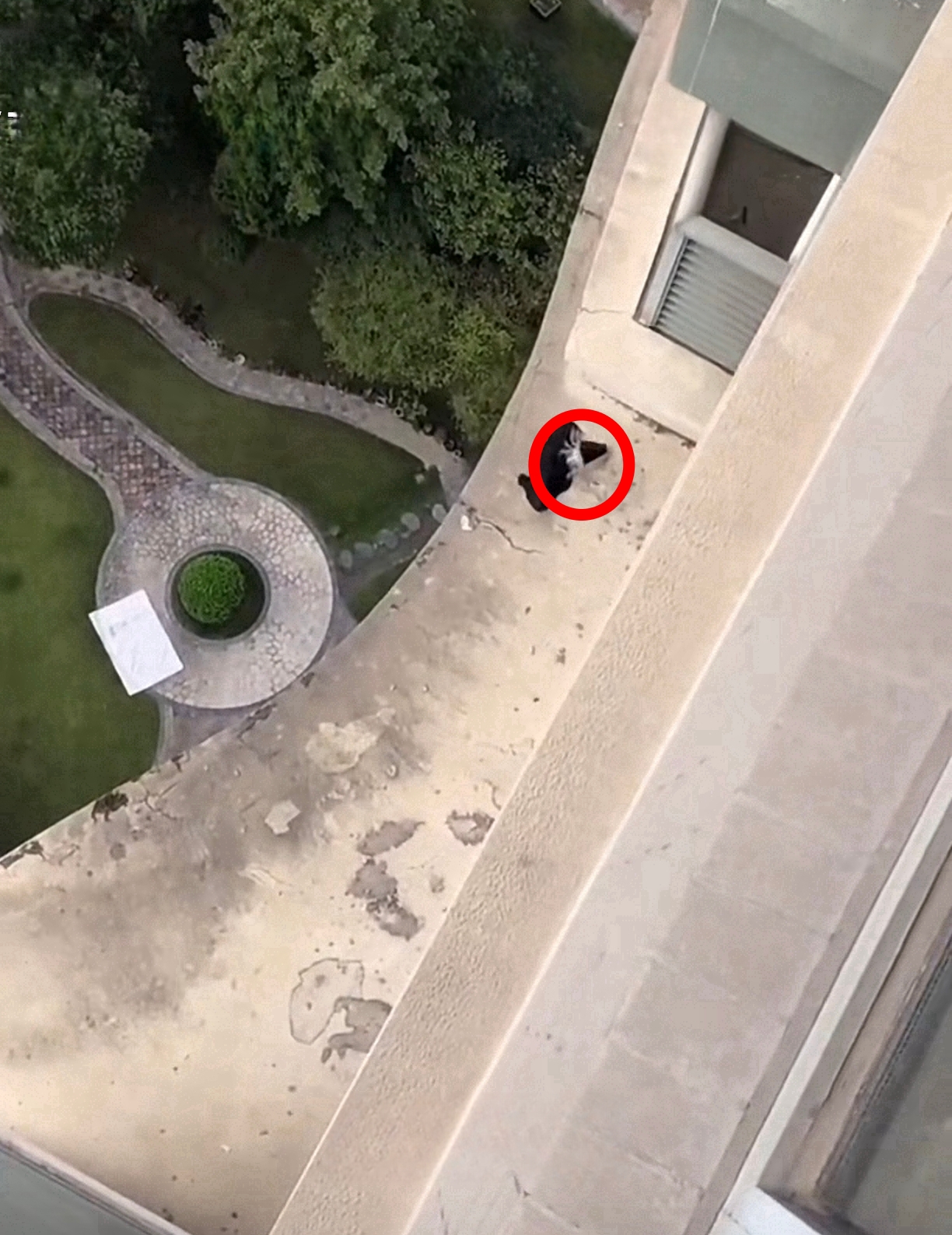 没想到螃蟹有如此妙用,还舍得吃掉么 刚刚住7楼的小美晾在外的胸衣