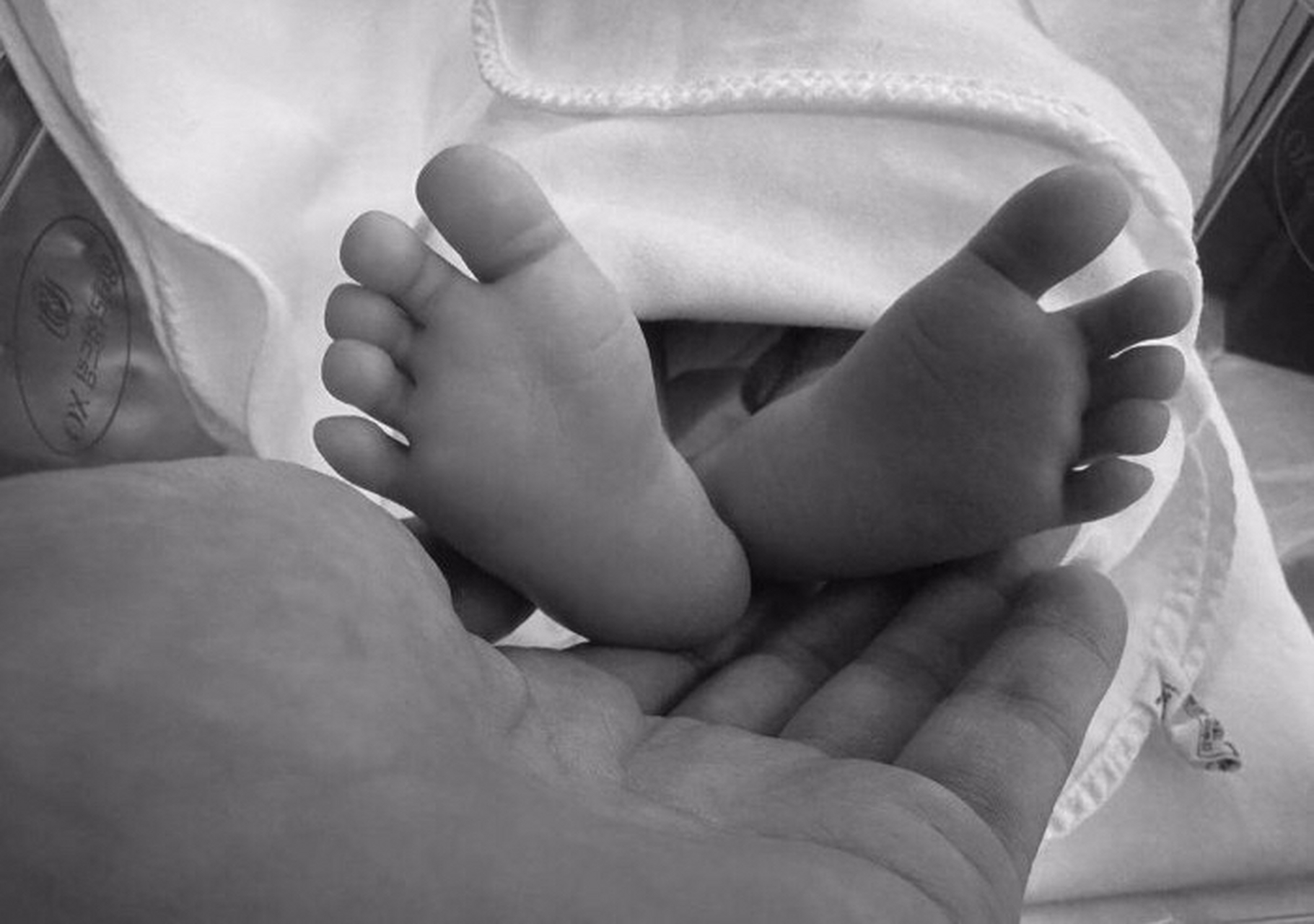 孙艺珍玄彬夫妇拍全家福!怀里抱着儿子,素颜出镜!