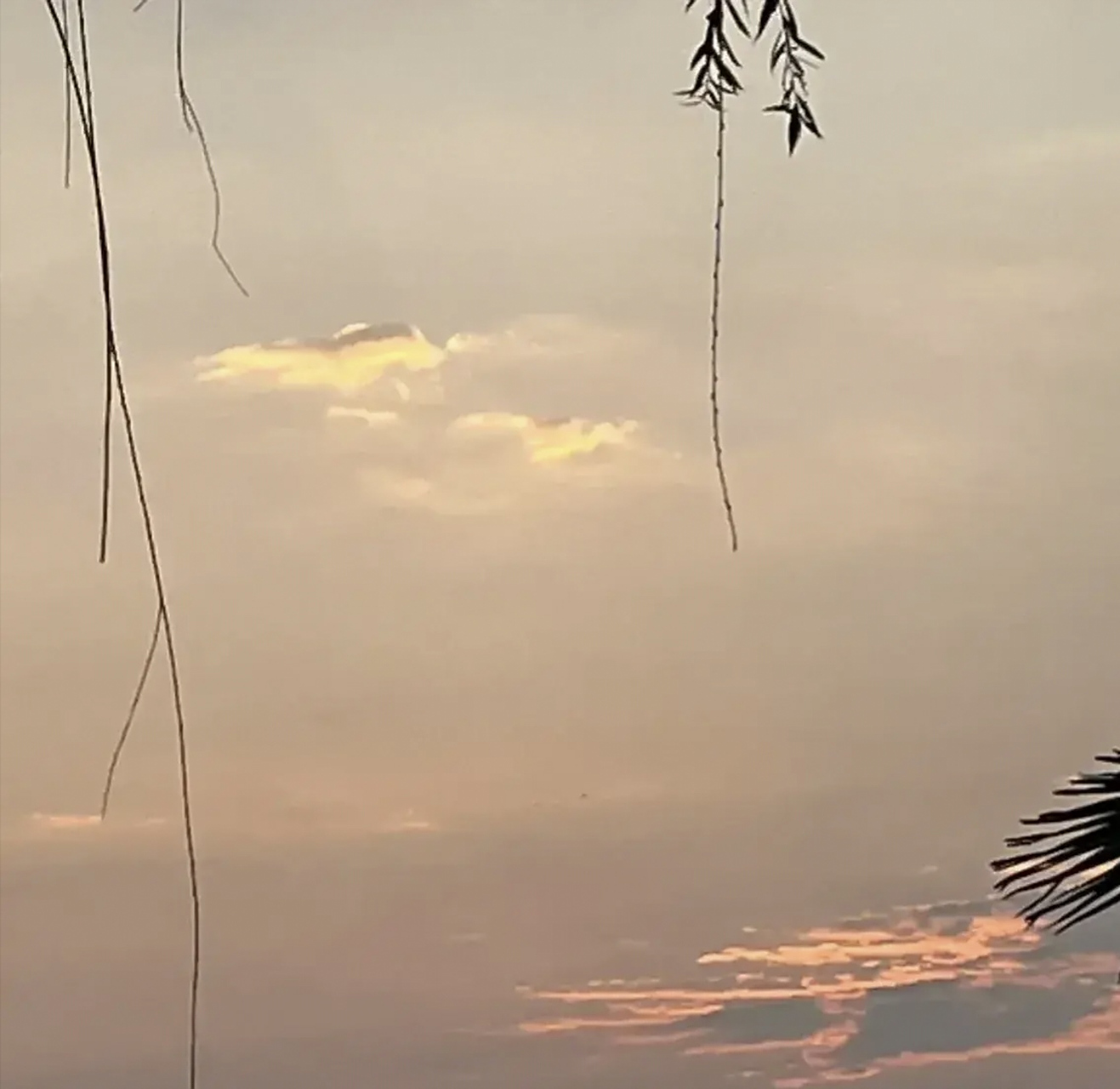 今天我大弟带我爸妈出了大半天.回来时兜里揣了一万块钱.