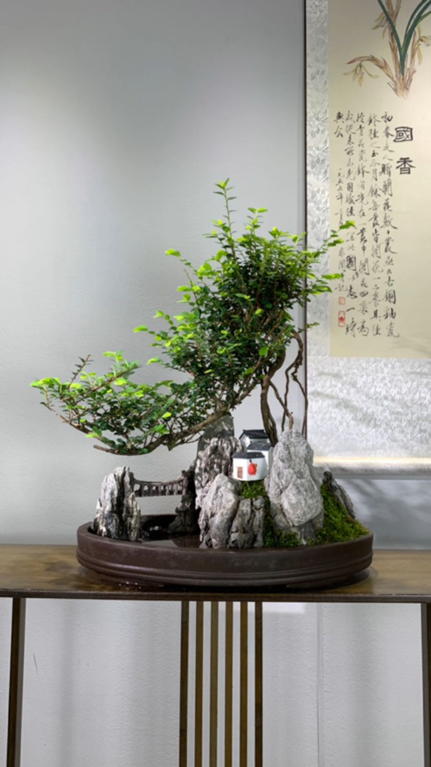 山水盆景山格木上新