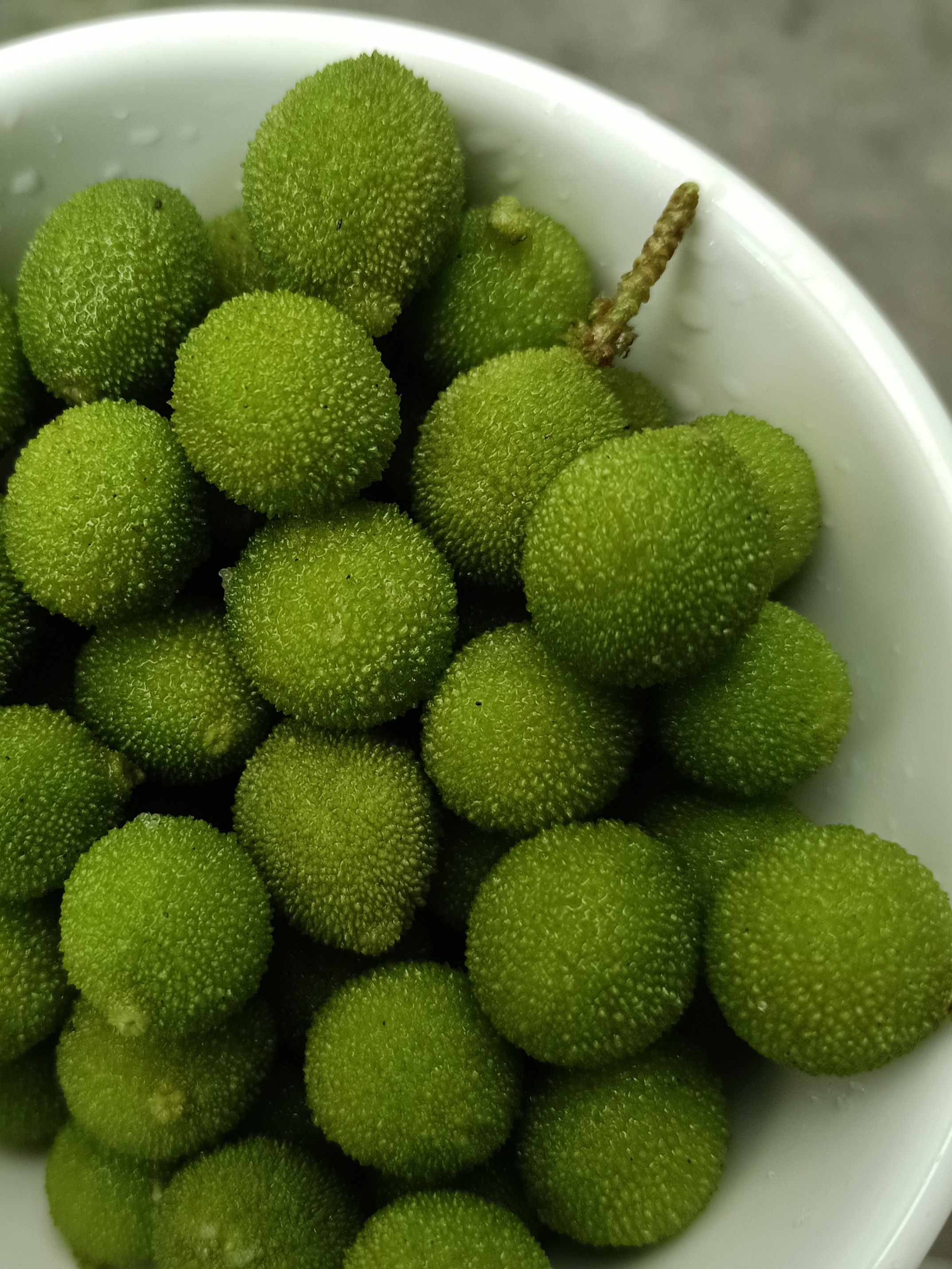 有没有记起小时候吃青杨梅的情景?