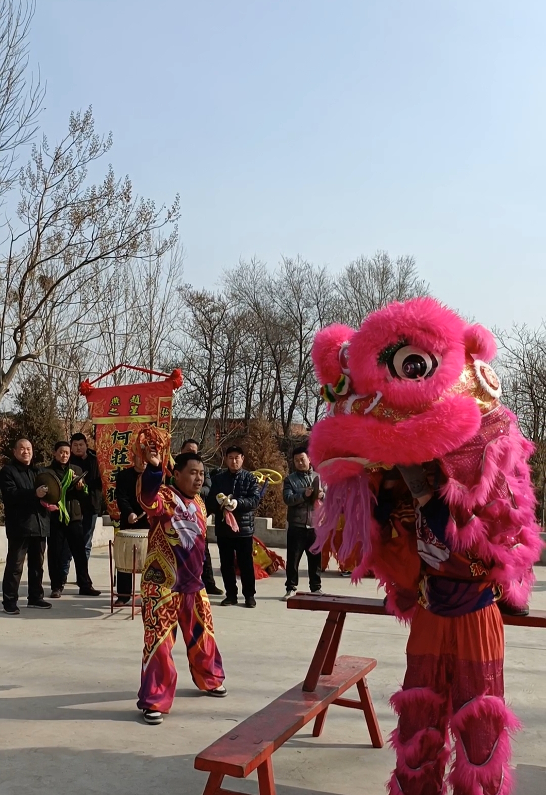 赵县何庄武狮列入省级非遗,武术带舞狮是其风格,传承难不容忽视