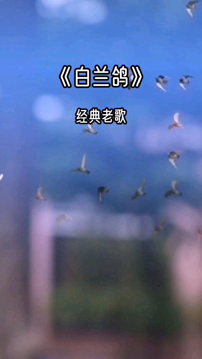 80年代苏小明演唱的《白兰鸽》太好听了-度小视